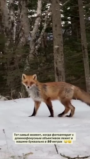 ��������������� ������ ��������� �� ������ �����