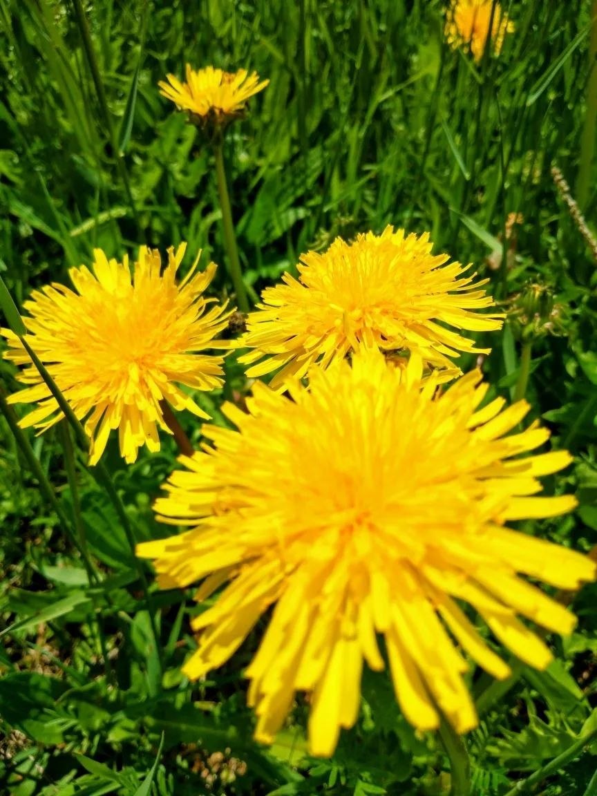 Доброе утро, Забайкалье! Сегодня суббота, 28 марта