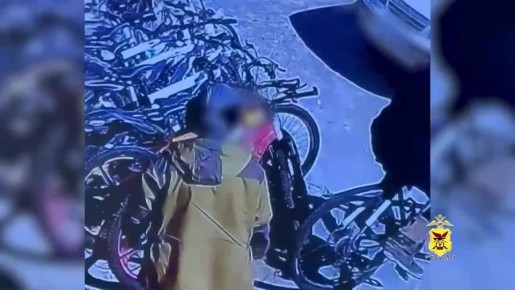 � ������������ ������ ���������� ������� ��������� ������������� � ����� ���� �����������