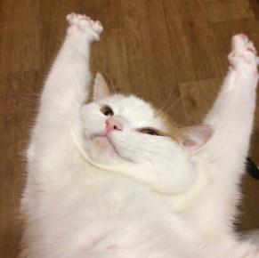 ���� ����� ��������. ����� ����� ���������� � ���, ��� ��� ��������! ��, ��������� � ���������� ������� ������, �� ����� �������� ��������� �������� �������� ������� � ������ ������! ������� ������������� ����� ������ �...