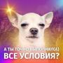 ОСТАЛОСЬ ВСЕГО 2 ДНЯ. До конца розыгрыша бесплатной путёвки в летний лагерь «Парус»! Телеканал «Забайкалье» совместно с Молодёжным центром «Искра» провели масштабный розыгрыш, который длился целый месяц