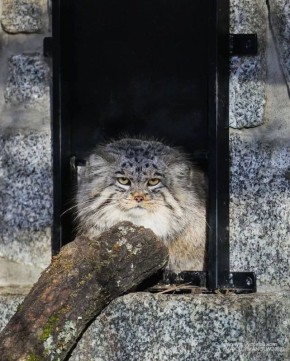 Доброе воскресное утро, забайкальцы! На календаре воскресенье, 29 марта