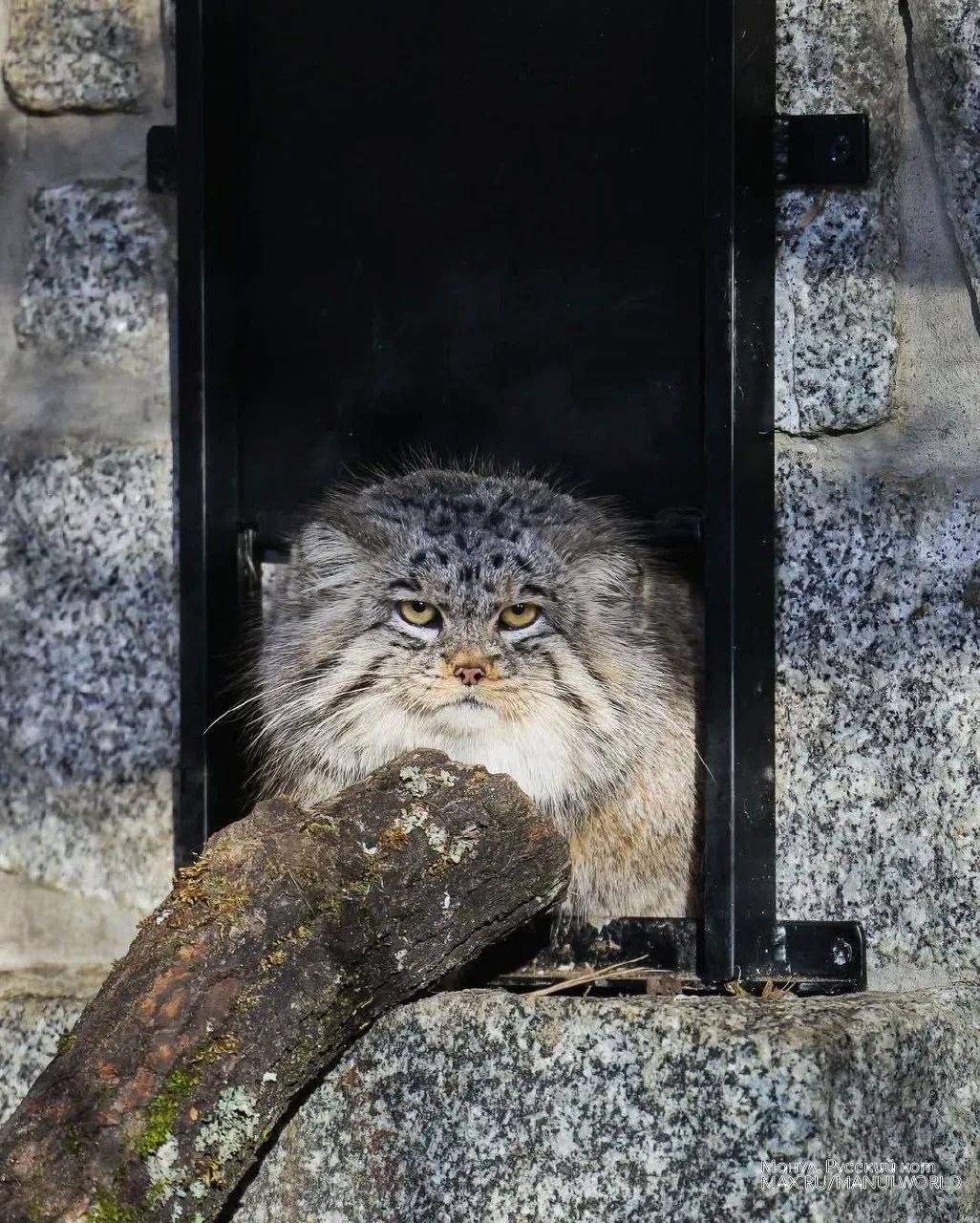Доброе воскресное утро, забайкальцы! На календаре воскресенье, 29 марта