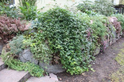 ���� �����: ����������������� � ��������� �����