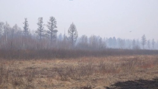 � ������������� ���� ������ � �������������� ����������� �������