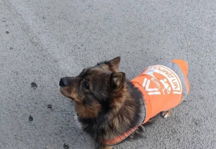 ϸ� ���� �������� ������� ��������� �����