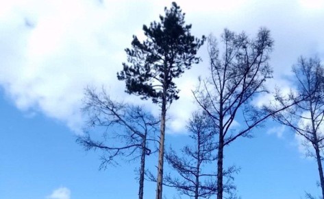 ������ � ���������� � ������