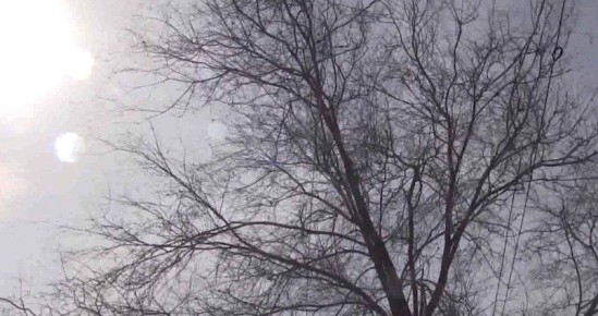 ��������� ������ ��������� � ����������