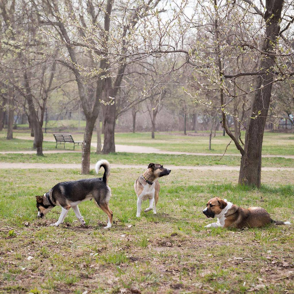 Берегите детей от опасности! Берегите детей от опасности!