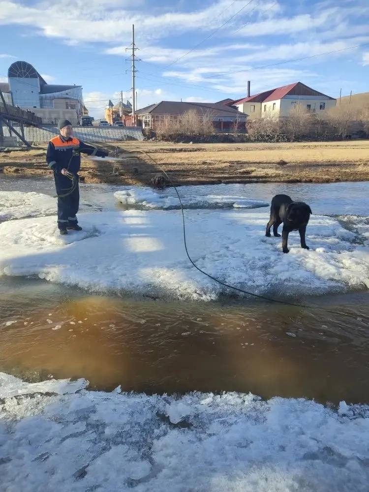 В поселке Агинское сотрудники «Забайкалпожспаса» спасли 11-летнего мальчика