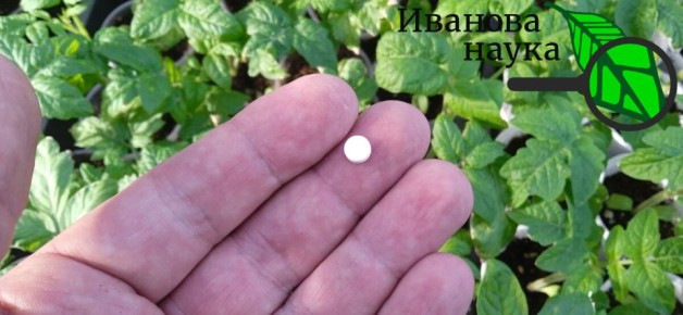 ��� ������ ����� ������� ������������� ��������� ��� ��������?