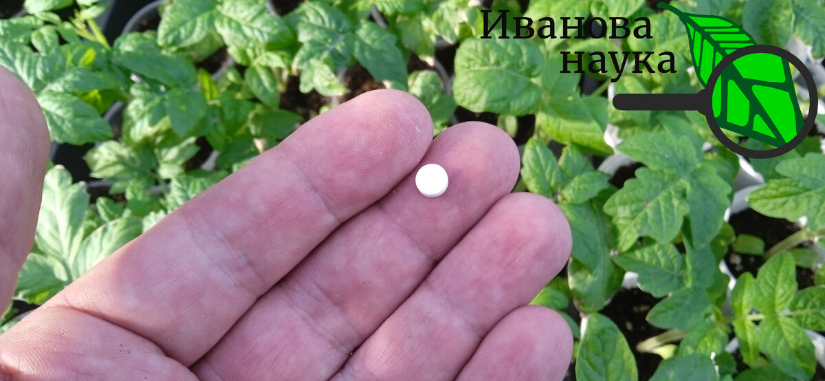 Как глицин может усилить эффективность удобрений для растений?