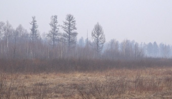 Один лесной пожар действует в Забайкалье