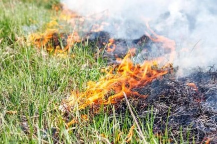 ���������� ���� �������� ������������!