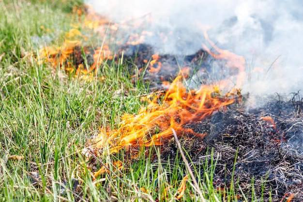 Соблюдайте меры пожарной безопасности!