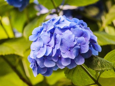 ������ ��������� ������� � ��� ������ �������� ��������� � �����