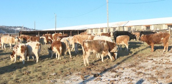 ���������������� � ������������� ���� � ������ ���� ������ ���������� ��������� ����� 1000 ����� ����� � 21 ����� ����