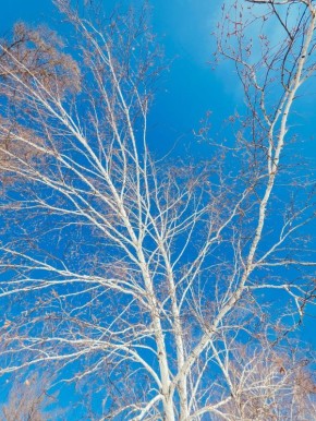 ������ ����, ����������! ������� 2 ������, �������