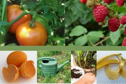 15 �������� ������������ ������� ���������, ��������� ������ ������ (����� 2)