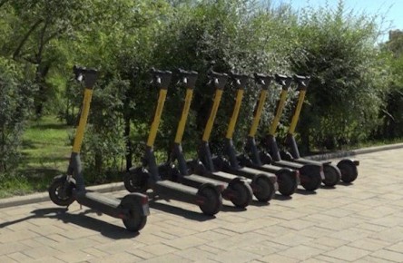 ���������������� �������� ���������