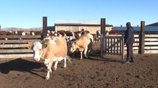 ���������������� ���������� ���������� �������� 193 ��� ������ �� ���������� ������� ������������ ����