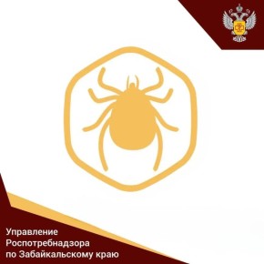 �� 1 ������ � ���������� ���������������� 11 ������� ������������ ������