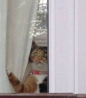 � ����� ��������!. ��������� ������� ���� � ����� �� 20 ������ � ������� � ��� ��������