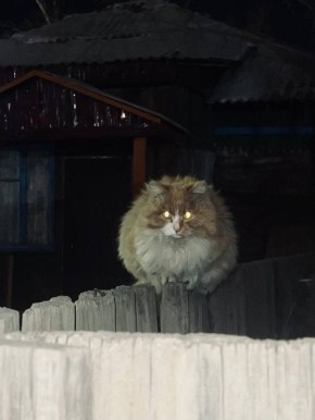 ��������� ����. �������� ������ ����: ������� ������ @zabrtk | MAX | VK