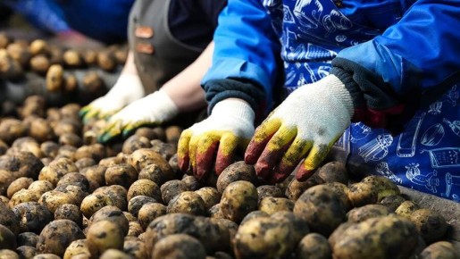 ������ �������� ������ ������ ��������� �� ���� � ������