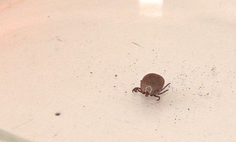 � ���������� ������� ����� ���������� ������