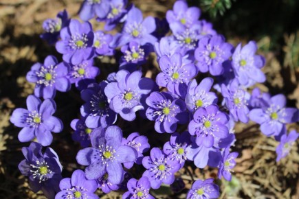 �������� ����������: ����� ����� � ����