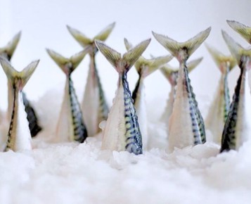 Как правильно жарить рыбу: секреты и советы