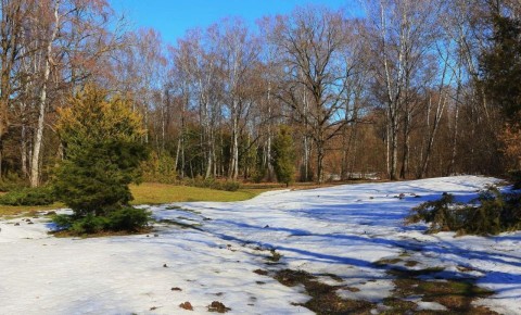 Доброе утро, уважаемые земляки!
