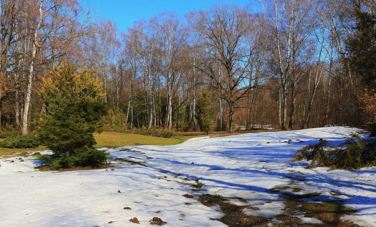 Доброе утро, уважаемые земляки!