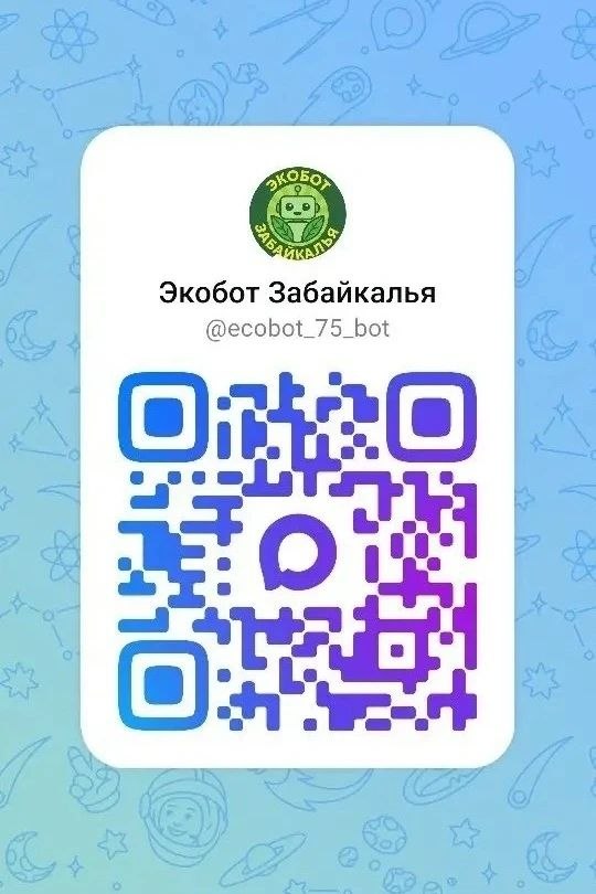 Система «Экобот Забайкалья» теперь работает в мессенджере МАХ
