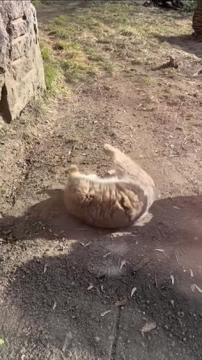 ������ ����!. ����� ���������� ������� ����� ���������� � ���������! � ���� �������� ������ �������� ������� �����: ��-����� ����������� ������� @zabrtk | MAX | VK