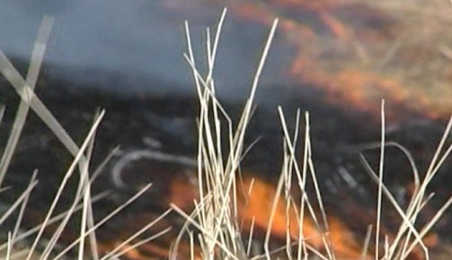 В Приаргунском округе для борьбы с пожарами в готовность приведены все силы и средства