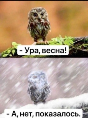 �������� ������������ � ����������