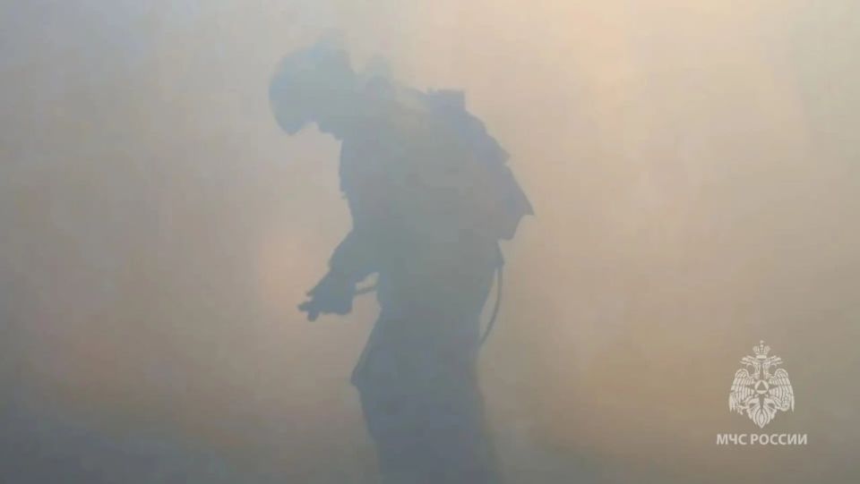 ��������� ����������� ����� �� ���������� ����� � ����