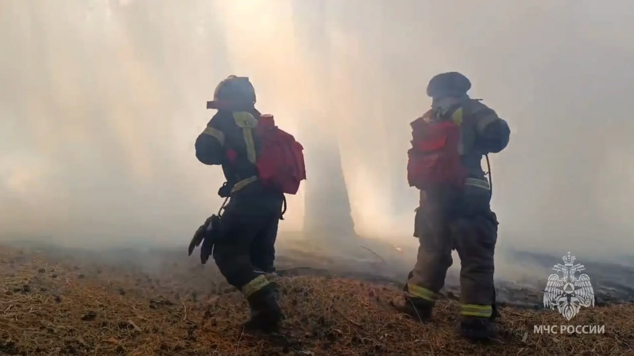 Огнеборцы ликвидируют пожар на Батарейной сопке в Чите
