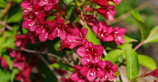 �������: ��������� ����� � ���������� � ������� ����