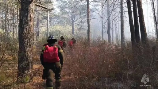 � ���������� ������������ ������ �������� ���������