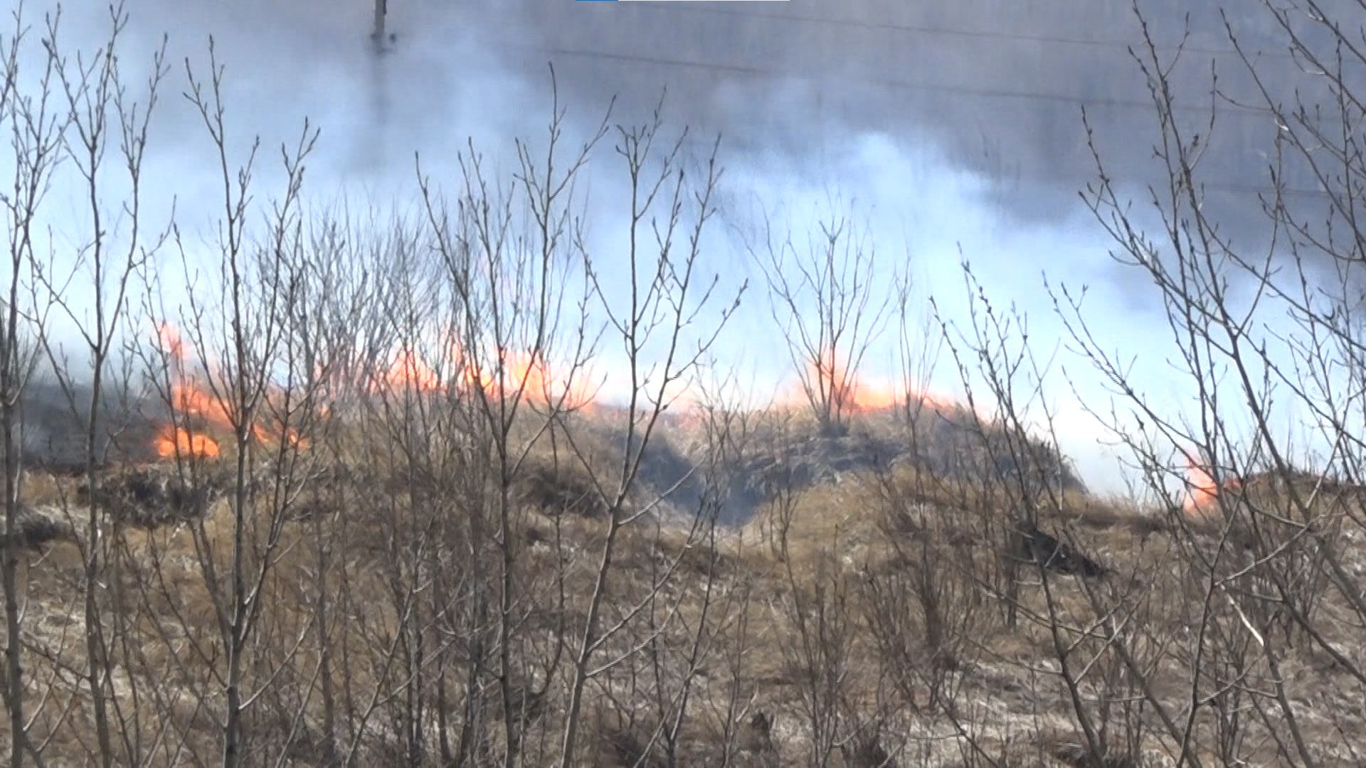 За прошедшие сутки в Забайкальском крае потушено 12 ландшафтных пожаров