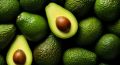 Авокадо: волшебный фрукт, который преобразит вашу жизнь