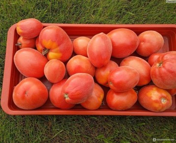 ����� ������ ����������: ������� ��� �������� � ���������