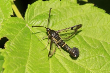 ������� ������ � ����: ��� ���������� � �������� �����������