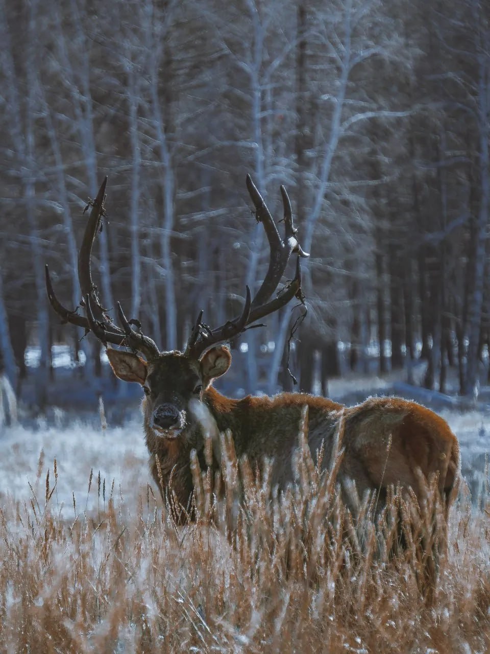 Доброе утро жители Забайкалья и гости региона! Сегодня 11 апреля – суббота