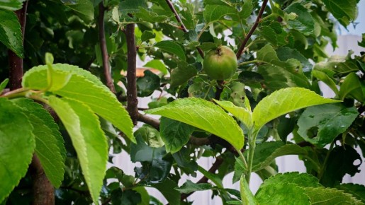 ��� ���� ������ � ����� �� ����� ���������� ������������ �������: ������ ����� ��� ���������