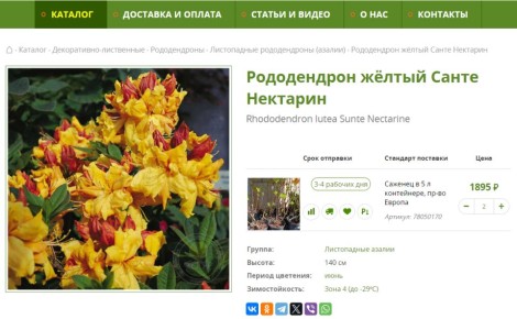 ������� ��������� ������ �������������: ������ ������� ���������