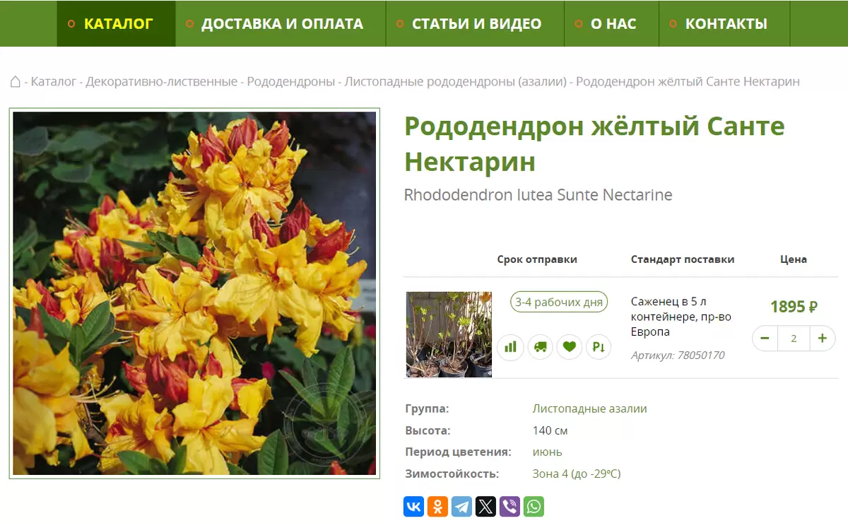 Секреты успешного выбора рододендронов: советы опытных садоводов